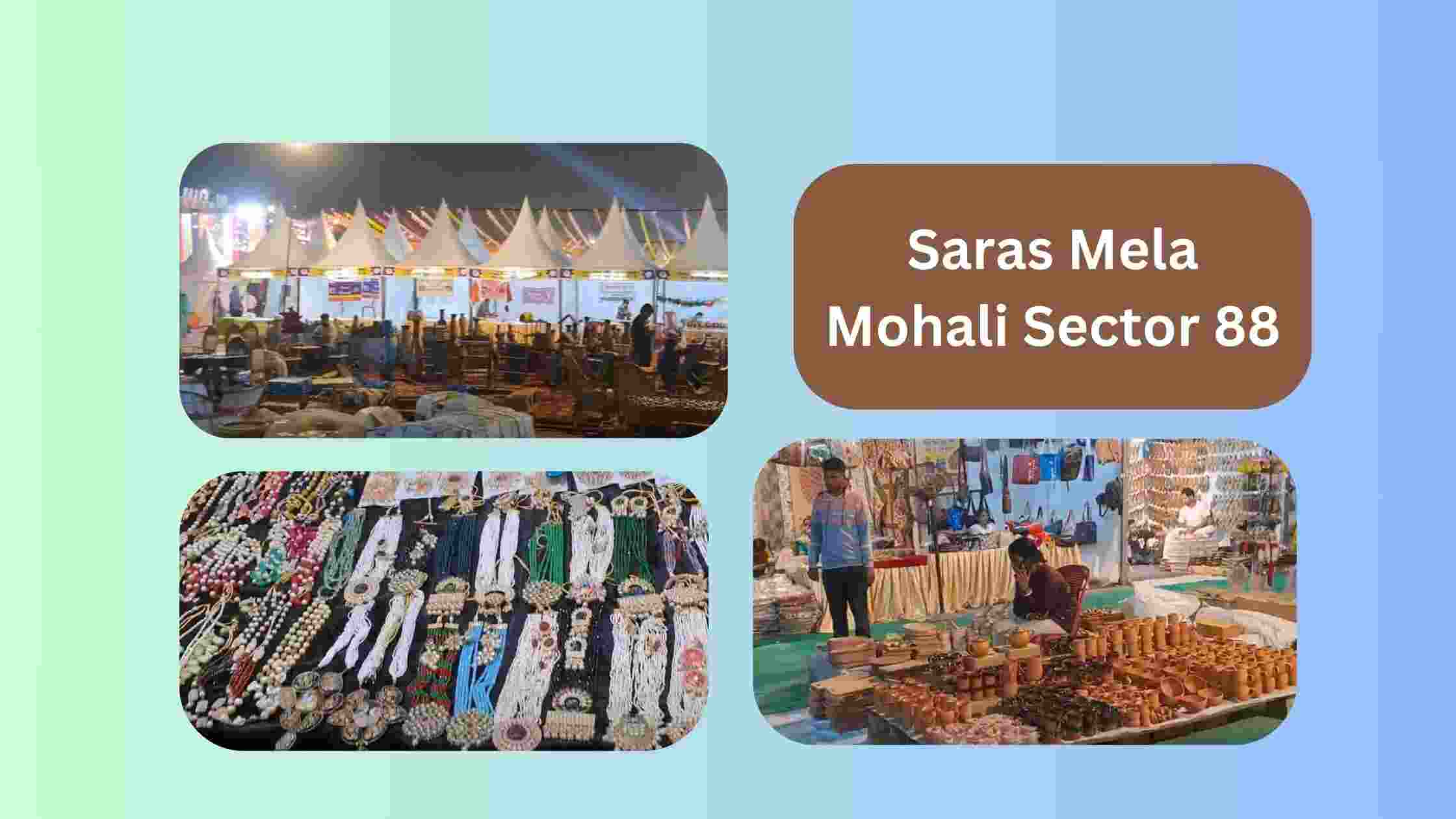 Saras Mela Mohali Sector 88